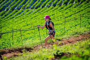 BIB: 
                            <button type="button" onclick="openModal(19161894)" class="btn btn-primary btn-sm float-right btn-popup" data-toggle="modal" data-target=".modal-high-quality">
                        <i class="fas fa-shopping-cart"></i> Add to Cart
                    </button>
                                            <button type="button" onclick="isThisMe(19161894, true)" class="btn btn-success btn-sm float-right btn-popup btn-isme hidden" data-toggle="tooltip" data-placement="bottom" title="นี่คือรูปของคุณใช่ไหม คลิกที่นี่เพื่อเอาเข้าอัลบั้ม">
                        <i class="fas fa-plus"></i> Add to album
                    </button>
                    <button type="button" onclick="isThisMe(19161894, false)" class="btn btn-warning btn-sm float-right btn-popup btn-isnotme hidden">
                        <i class="fas fa-ban"></i> Remove from album
                    </button>